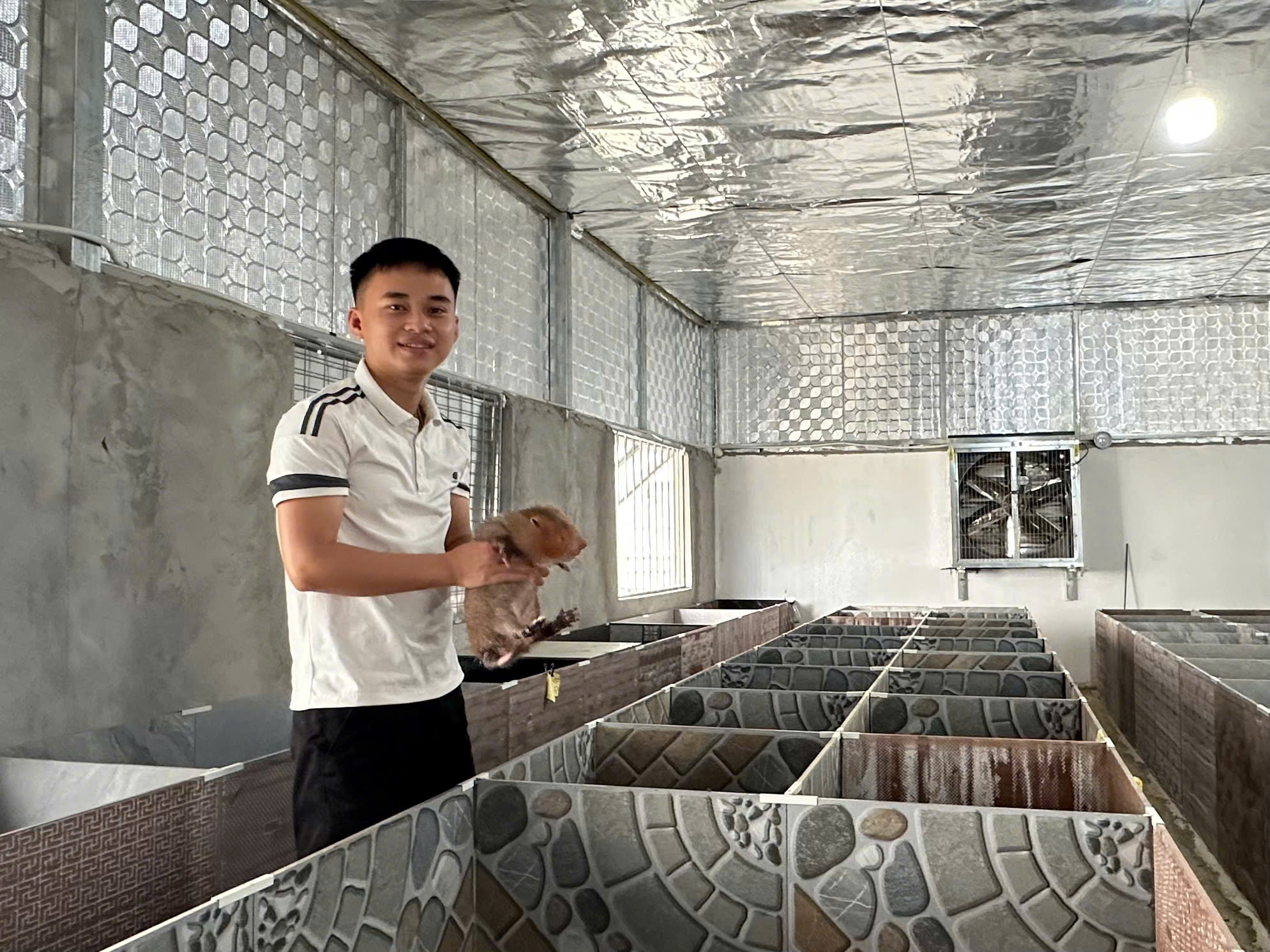 Hệ thống chuồng trại